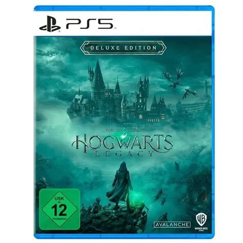Hogwarts Legacy Harry Potter Ps5 Playstation 5 Disc Version