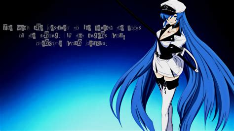 Hintergrundbilder Illustration Anime Mädchen Blau Akame Ga Kill