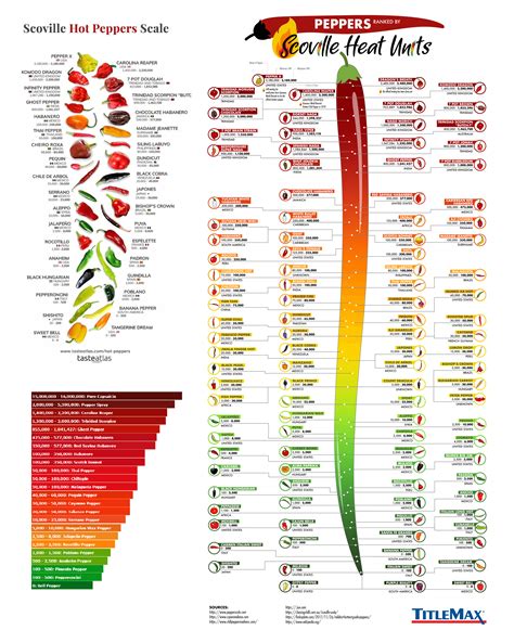 Infographic Scoville Hot Pepper Scale