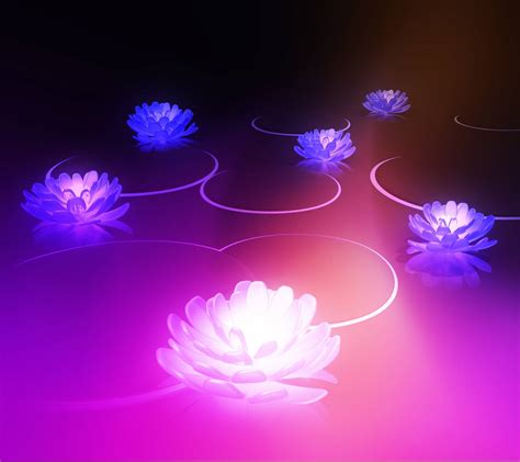 Abstract Lotus Wallpapers Top Free Abstract Lotus Backgrounds