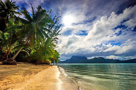 Nature Landscape Beach Sea Palm Trees Clouds Island