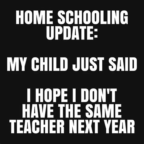 14 Funny Homeschooling Memes That Are Far Too Relatable The Poke