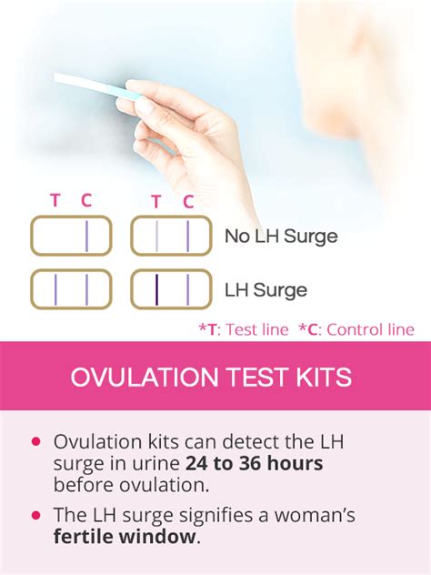 Ovulation Test Kits Shecares