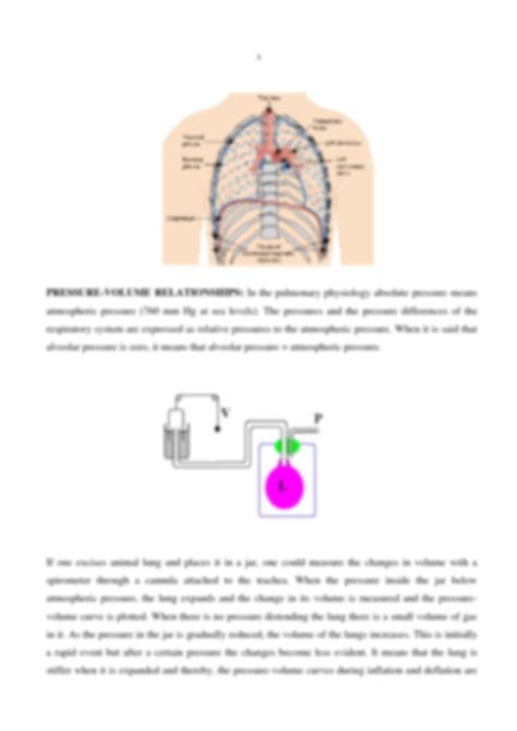 Solution Respiratory System Lecture Notes Fully Explained With Diagram