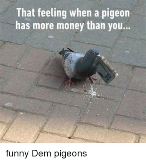 That Feeling When A Pigeon Has More Money Than You Funny