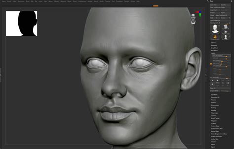 Artworkv1n30o Facial Anatomy Scene Setup Rim Light Facial Muscles
