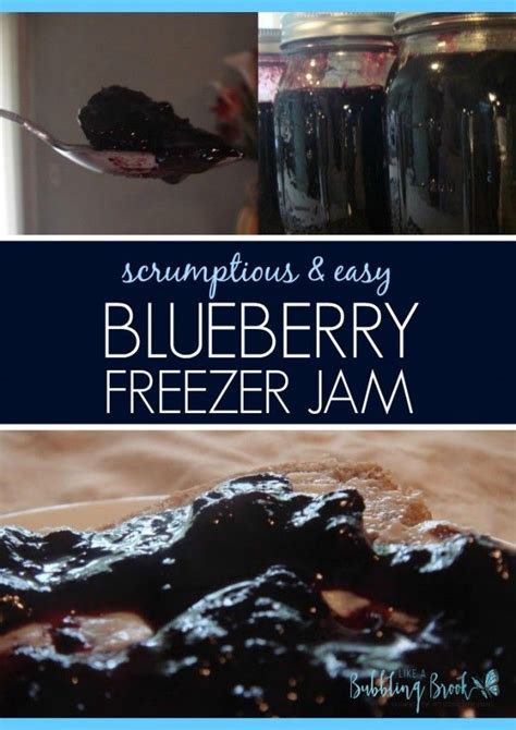 There are recipes that require you to follow a 1:1 ratio or 3:1 ratio. How To Make Scrumptious Blueberry Jam Without Pectin ...
