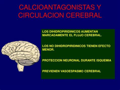 Ppt Calcioantagonistas En El Tratamiento De La Hipertensión En