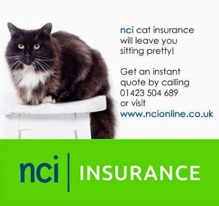 When it comes to best cat insurance policies for your feline friend, picking the right one is not easy. NCi Insurance - Google+ | Cat insurance, Cats, Pet insurance cats