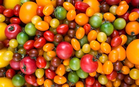 Colorful Variety Of Tomatoes Mary Purdy Integrative Eco Dietitian