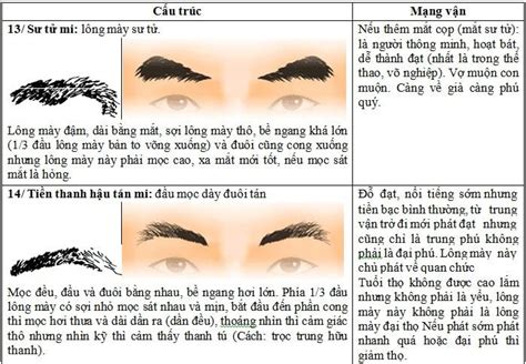 Tướng Lông Mày Nam Giới đoán Tính Cách Tiền Tài Chuẩn 99