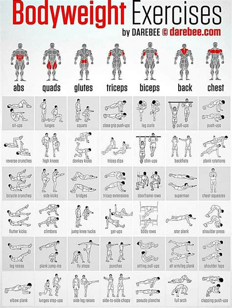 Full body routines are superior in this aspect since frequent practice of correct technique means that the movement will quickly become second nature to you. Pin by Eve O'Hannigan on Fitness/Exercise | Full body ...