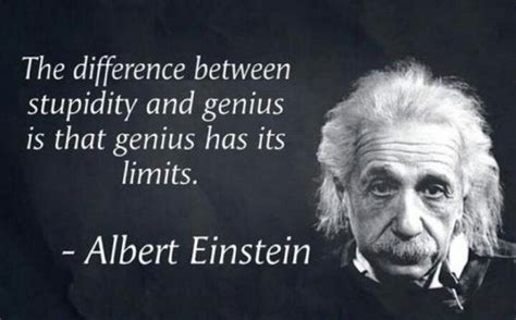 Stupidity Knows No Bounds Einstein Quotes Albert Einstein Quotes