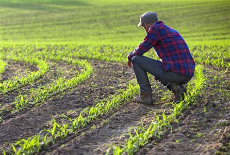 Farmer is a subject who generates a reliable income for the kingdom by working on a farm. Home - ABEAN