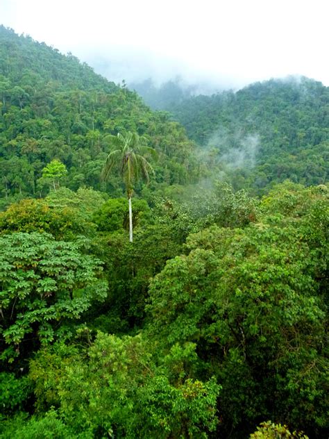 Chocó Rainforest Travel Ecuador Paradise Found Paradise On Earth