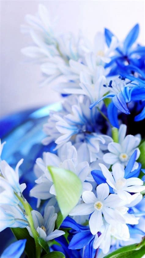 Blue White Flowers Wallpaper Iphone 3d Iphone Wallpaper 2022