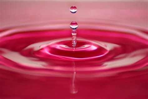 320x568 Resolution Water Drop In Shallow Focus Lens Hd Wallpaper Wallpaper Flare