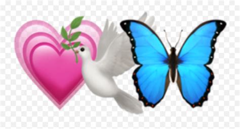 Emoji Combo Freetoedit France Blue Aesthetic Butterfly Emojiemoji