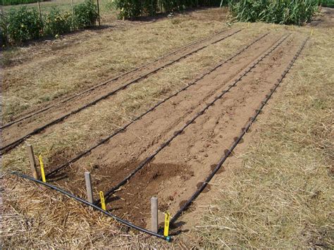 We apologize for any inconvenience. Watering Your Crop: Drip Irrigation - Kerr Center
