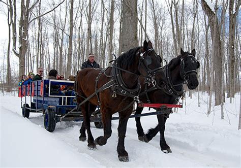 Horse Drawn Wagon Rides Shaws Catering