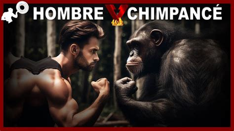 hombre vs chimpancÉ podría el ser humano defenderse del ataque de un chimpancÉ youtube