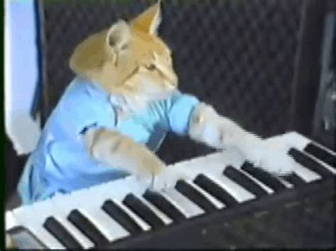Keyboard Cat Funkipedia Mods Wiki Fandom