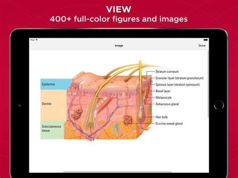 Unbound Medicine Anatomy And Physiology Made Incredibly Easy App For