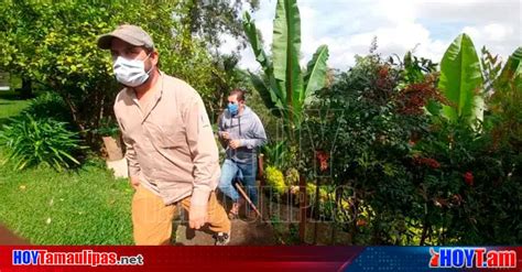 Hoy Tamaulipas Despliegan Operativo En Busca Del Puma Que Fue Visto