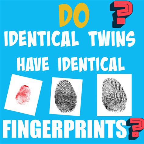 Do Identical Twins Have Identical Fingerprints Jopress News