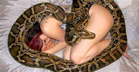 Elle Dort Tous Les Soirs Avec Son Serpent De Compagnie