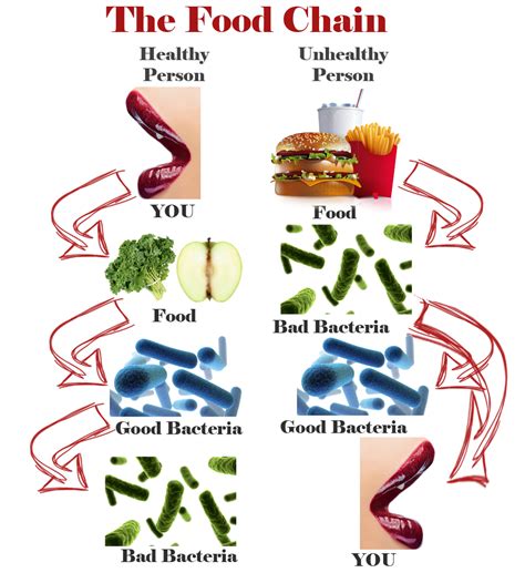 About — Beer Diet Project