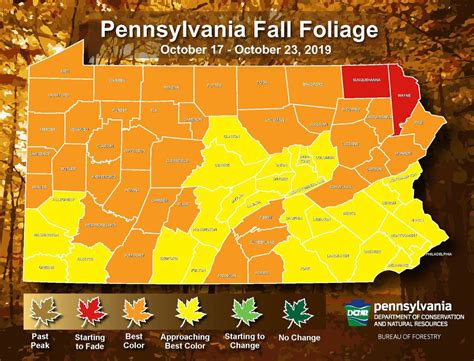 ‘statewide Peak For Fall Foliage Is Here Says Weekly State Report