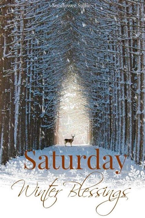 109 Best Images About Saturday On Pinterest Saturday Morning Good