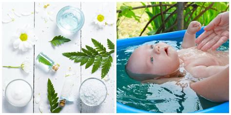 Banhos de ervas para bebês: dicas e cuidados | Fica a Dica