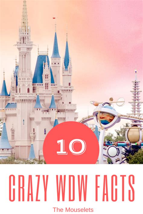 These Arent Your Average Walt Disney World Facts Read On To Find Out