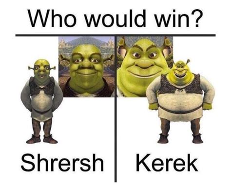 My Moneys On Kerek D A Nk Funny Memes Shrek Memes Memes