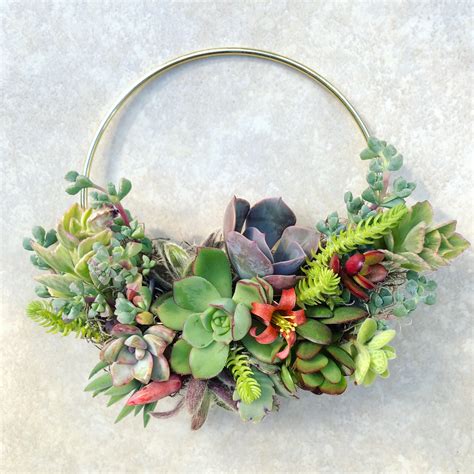 Gold Hoop Succulent Wreaths Westwind Succulents