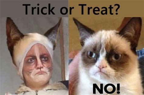 Cat Meme Makeup Tutorials Grumpy Cat Cat Makeup Halloween Cat Memes