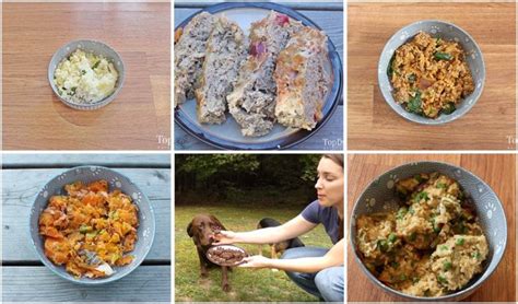 They may not be appropriate for your pet, and any change in your pet's diet should be done under the supervision of a veterinarian. Home Cooked Dog Food Recipes: A Science-based Guide from a Vet