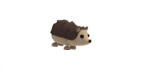 Beli Item Adopt Me Hedgehog Roblox Terlengkap Dan Termurah Agustus 2022
