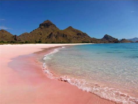 Pink Beaches The Luxury Spot Komodo National Park Pink Beach