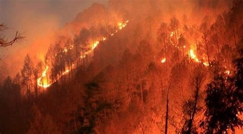 On 10 april 2016 at approximately 03:30 am ist, the puttingal temple in paravur, kollam, kerala, india, experienced an explosion and fire after firework celebrations went awry. Forest Fires In India: Know About Their Causes, Control ...
