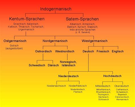 Beller tabelle phasen alter : German/English similarities | German Language Workshop