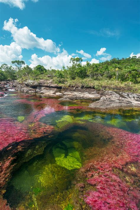 We did not find results for: Caño Cristales — Colombia's "River of Five Colors" | The ...