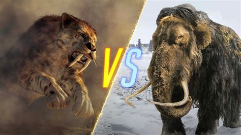 Saber Toothed Tiger Vs Woolly Mammoth Youtube