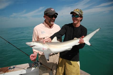7 Best Shark Fishing Spots In The Us