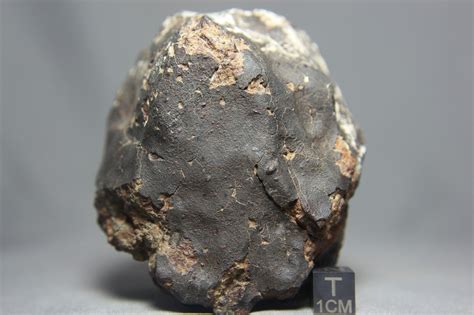 Nwa 10700 Ll4 6 Chondrite Meteorite 628 Gram Main Mass コレクション 岩石