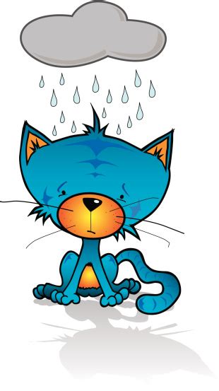 Sad Blue Cat In The Rain Stock Illustration Download