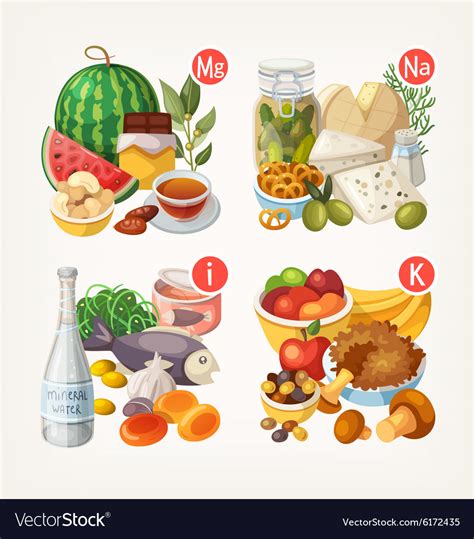 Products Rich With Vitamins And Minerals Vector Image