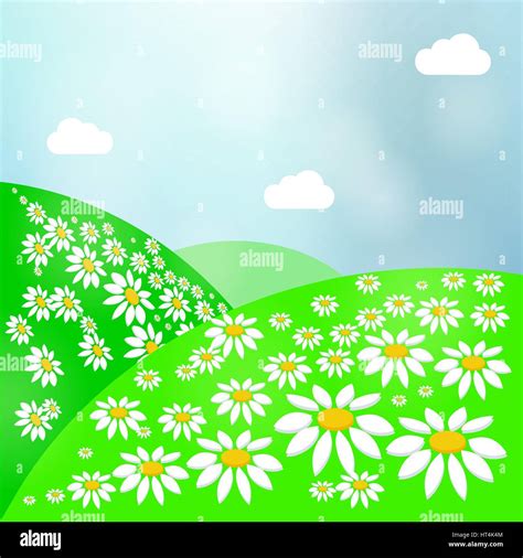 Summer Landscape Bright Meadow With Daisies Green Grass And Sky Stock